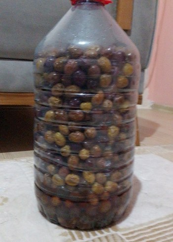 el yapımı zeytin - Görsel 4