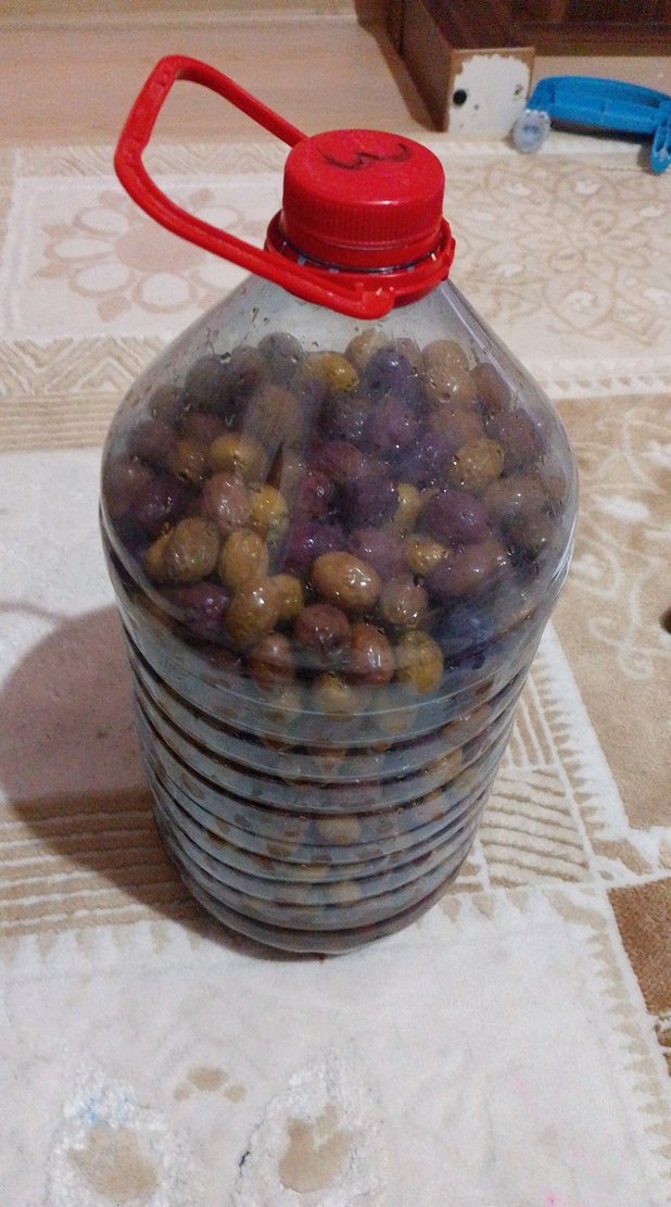 el yapımı zeytin - Görsel 2