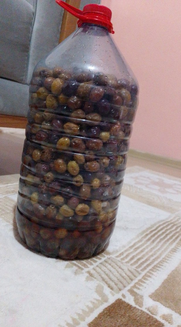 el yapımı zeytin - Görsel 3