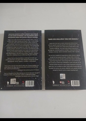 Buz ve Bal Serisi - İki Roman Seti - Görsel 2