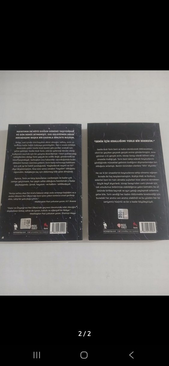 Buz ve Bal Serisi - İki Roman Seti - Görsel 2