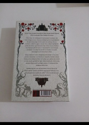 Gallant - V.E. Schwab Roman - Görsel 2