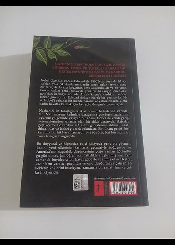 Hester - Duyguların Renkleri Romanı - Görsel 2