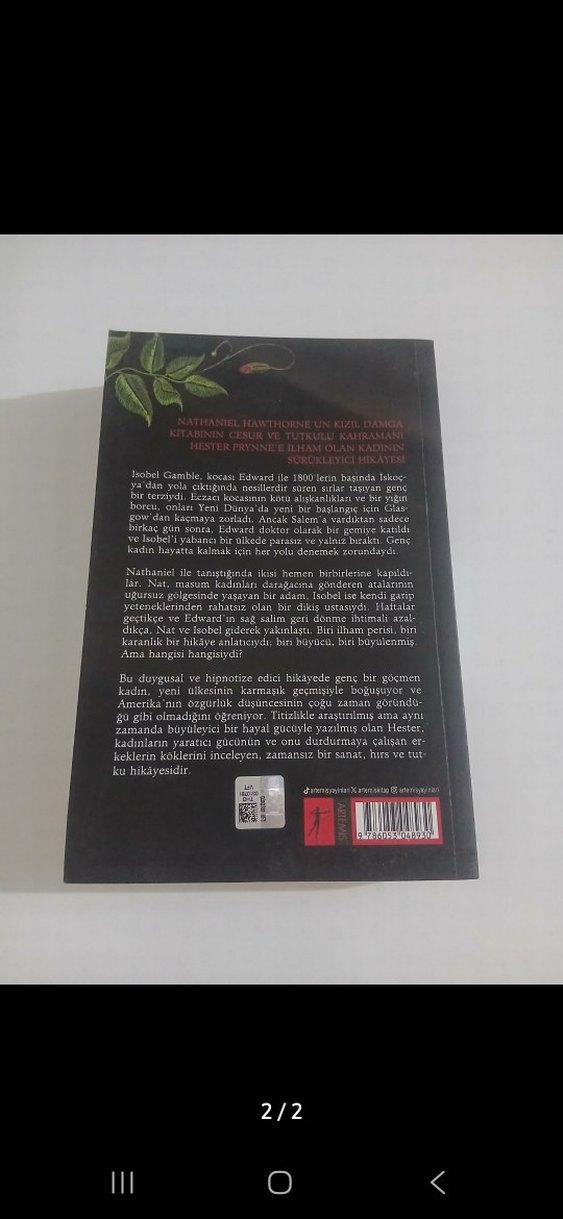 Hester - Duyguların Renkleri Romanı - Görsel 2