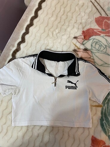 Puma crop