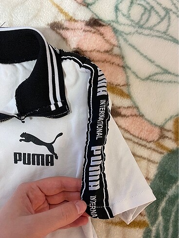 Puma Puma crop