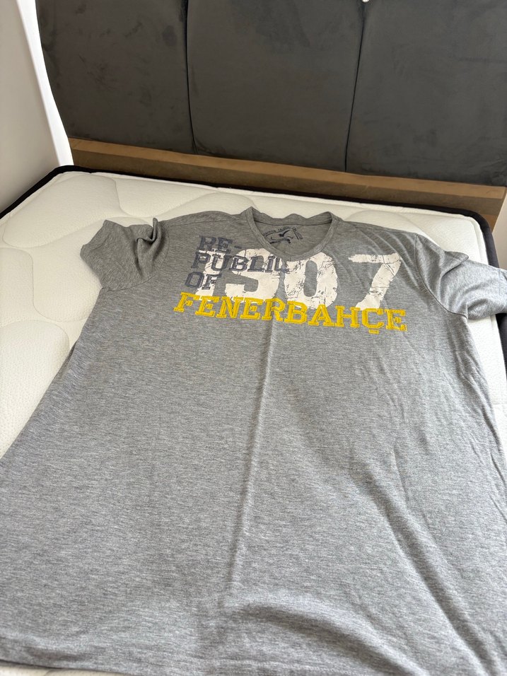 Gri Erkek Pamuklu Baskılı Tişört - Görsel 2