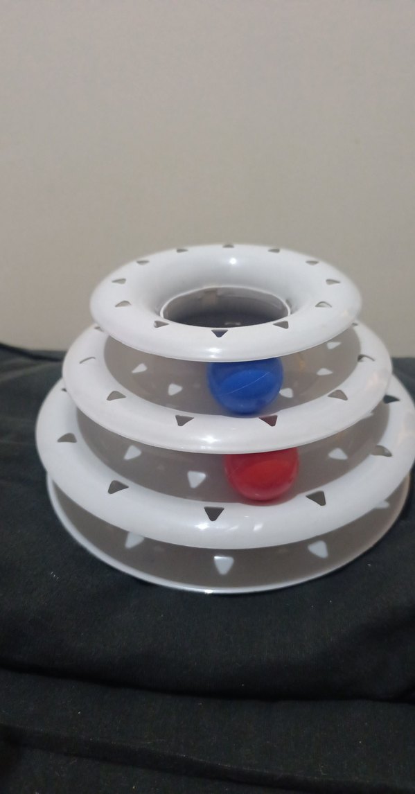 Beyaz ve Gri Kedi Oyuncak Disk - Görsel 2