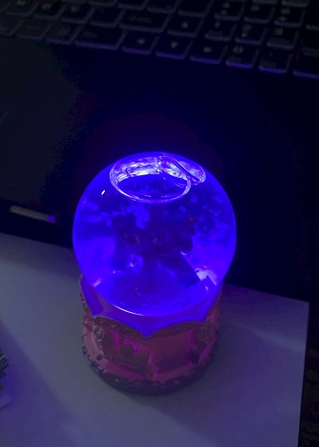 Atlı karınca kar küresi - Görsel 2