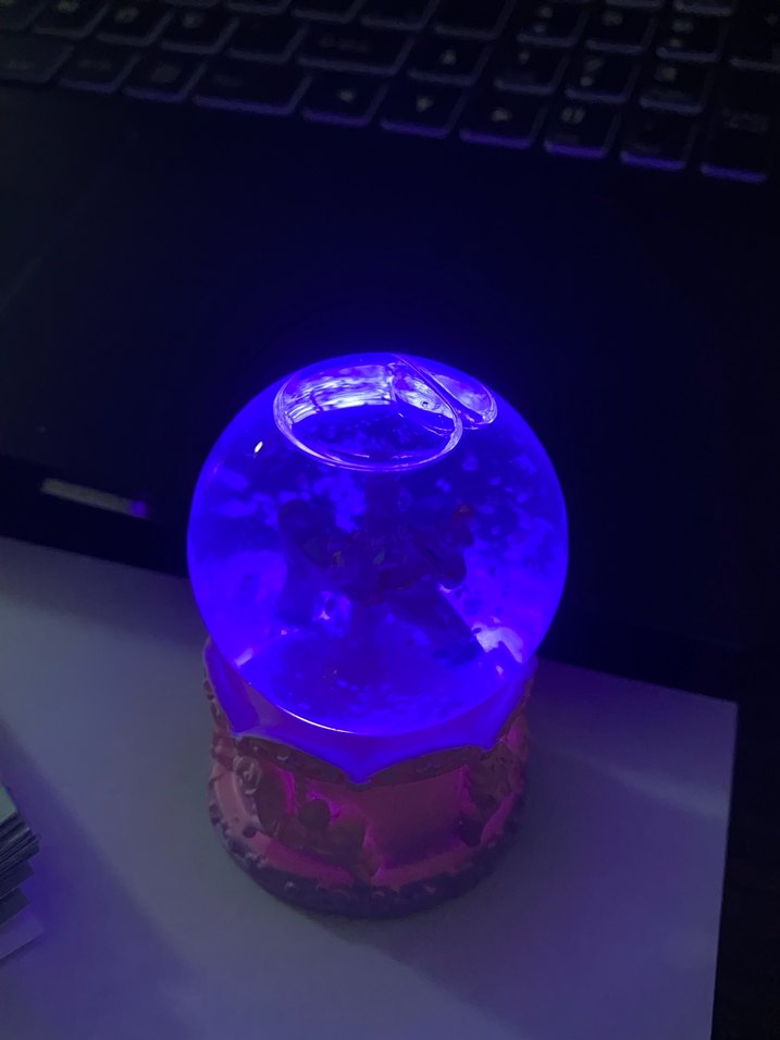 Atlı karınca kar küresi - Görsel 2