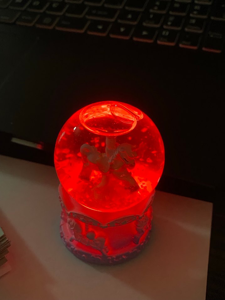 Atlı karınca kar küresi - Görsel 3