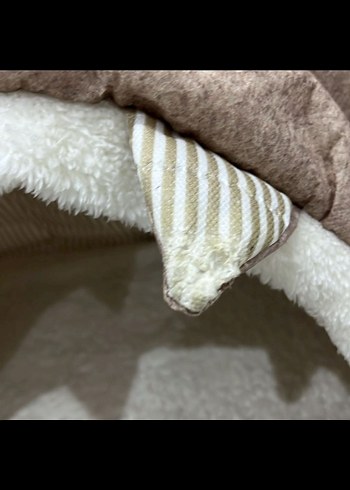 Kahverengi Yumuşak Kedi Evi - Görsel 5