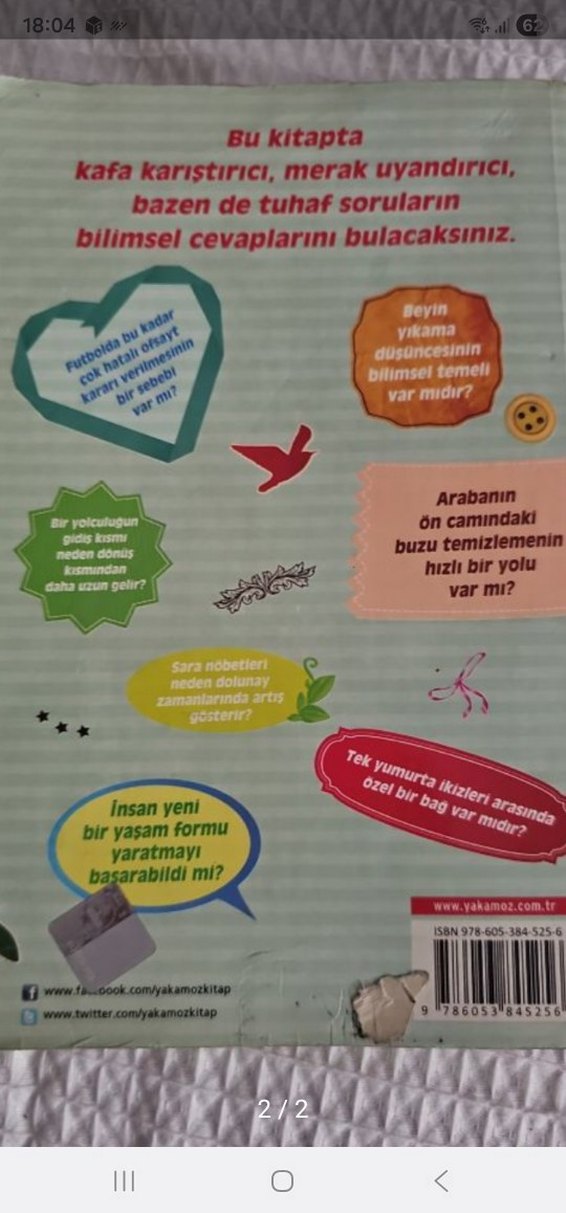 Örümcekler Ağlarına Neden Yapışmazlar? Kitap - Görsel 2