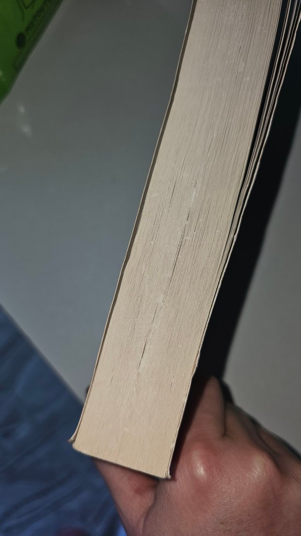 Lev Tolstoy - Savaş ve Barış - Görsel 4