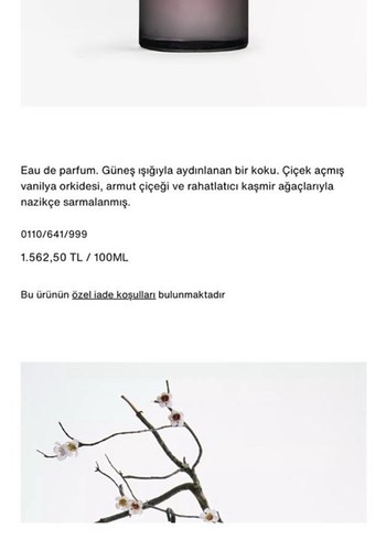 Zara Hypnotic Vanilla Bloom Kadın Parfümü - Görsel 3