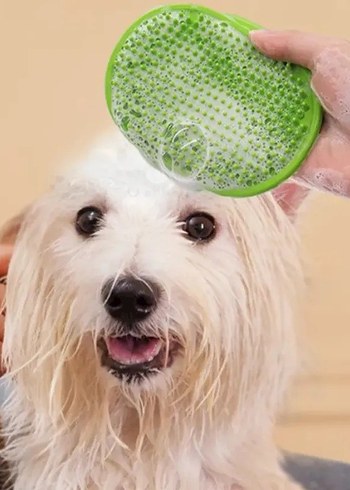 Hayvan Tüyü Toplama ve Yıkama Fırçası - Görsel 2