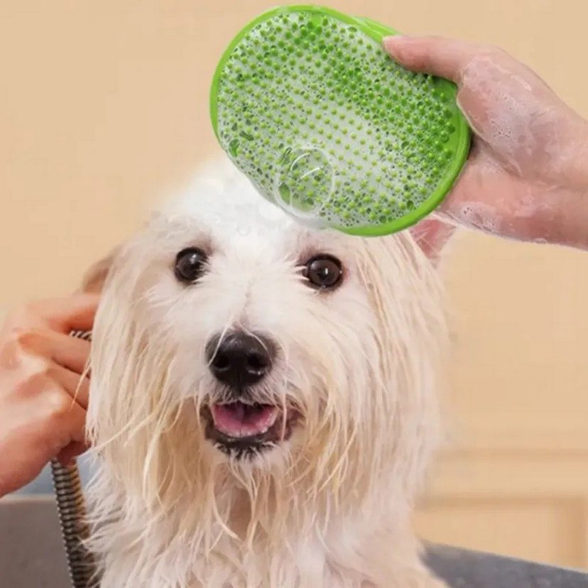 Hayvan Tüyü Toplama ve Yıkama Fırçası - Görsel 2