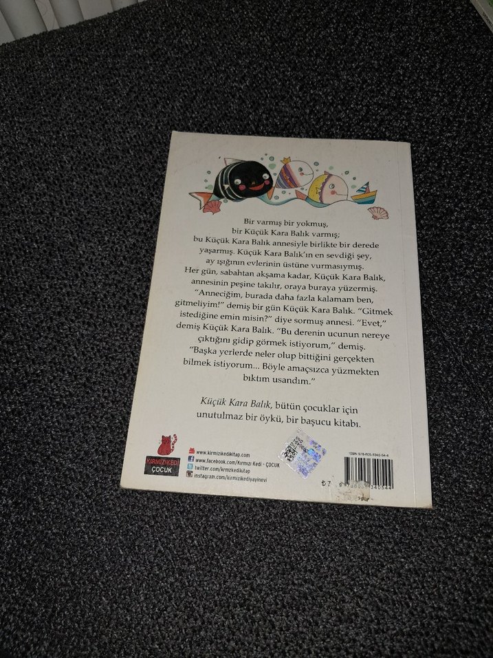 Küçük Kara Balık - Çocuk Kitabı - Görsel 2