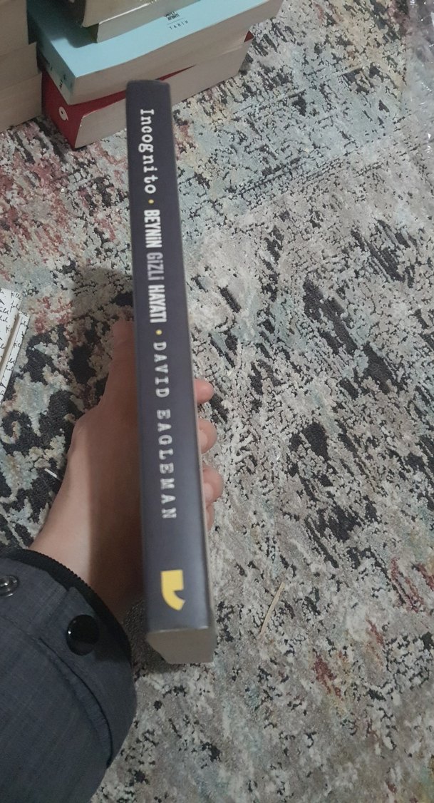 Incognito - Beynin Gizli Hayatı - Görsel 4