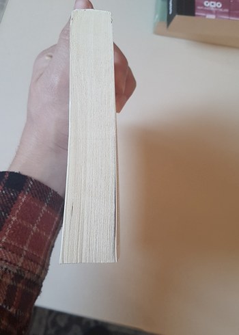 Murtaza - Orhan Kemal Romanı - Görsel 5