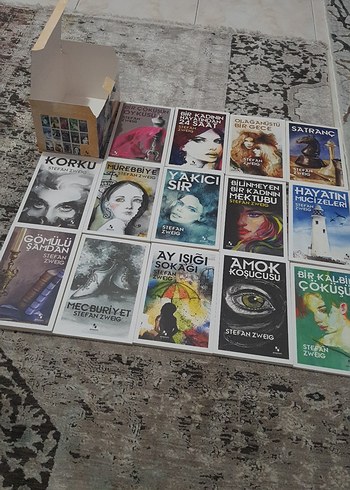 Stefan Zweig Kitap Seti - 14 Roman - Görsel 3