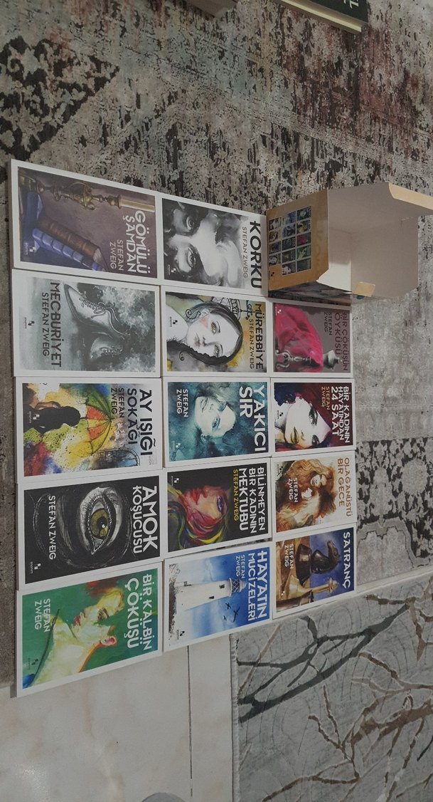 Stefan Zweig Kitap Seti - 14 Roman - Görsel 4