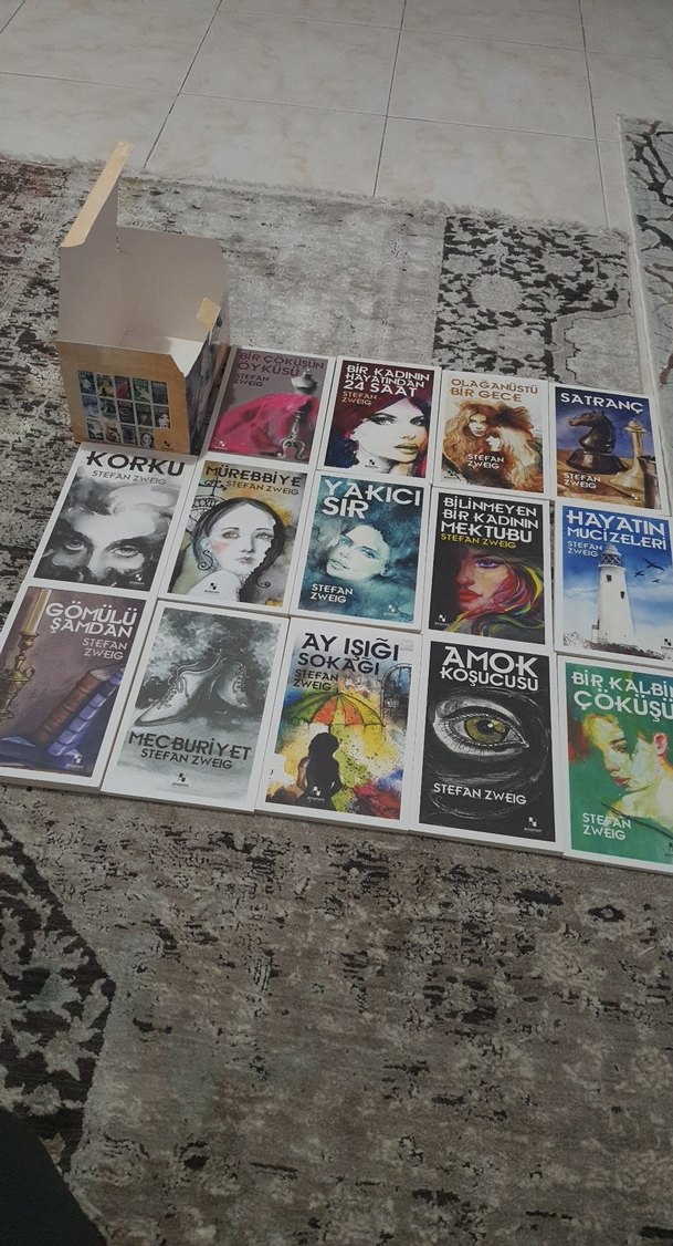 Stefan Zweig Kitap Seti - 14 Roman - Görsel 3