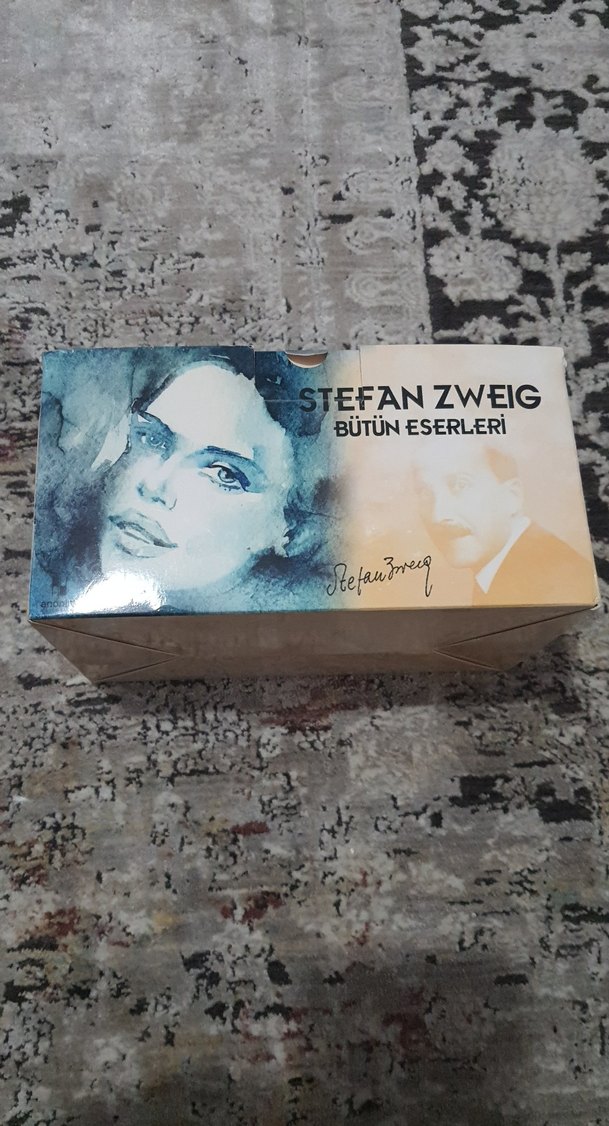 Stefan Zweig Kitap Seti - 14 Roman - Görsel 2