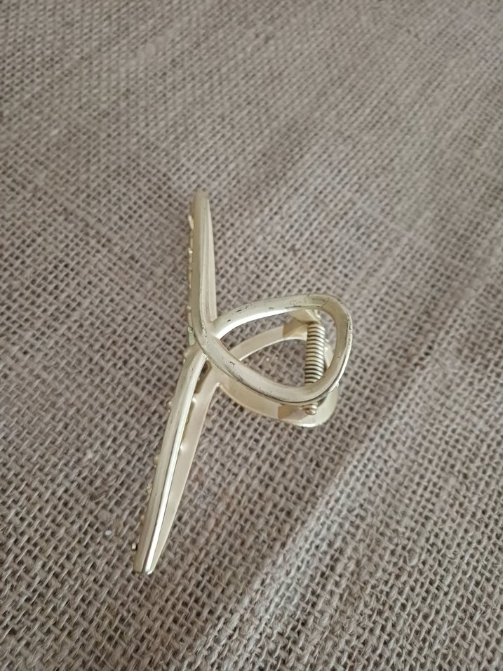 Altın metal Tokalı Kadın Toka - Görsel 5