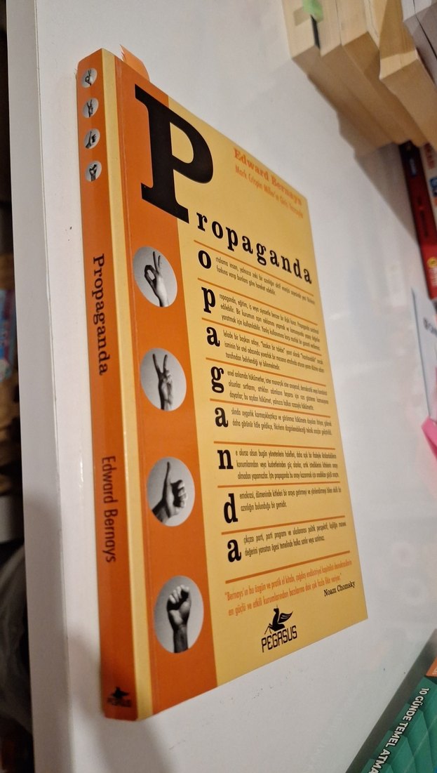 Propaganda - Noam Chomsky - Görsel 2