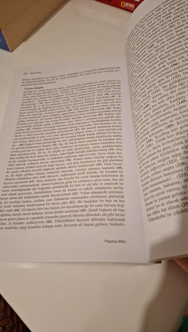 Metin Bilgisi - Prof. Dr. V. Doğan Günay - Görsel 4