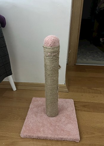 Pembe Tırmalama Direği - Görsel 2