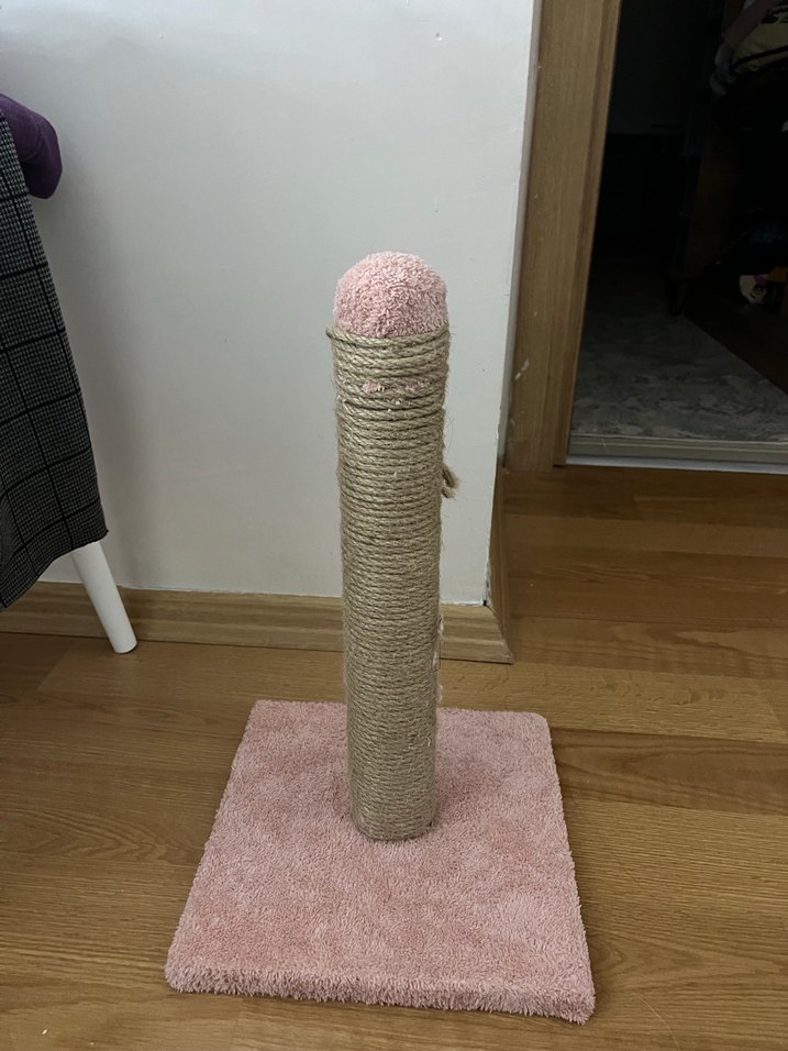 Pembe Tırmalama Direği - Görsel 2