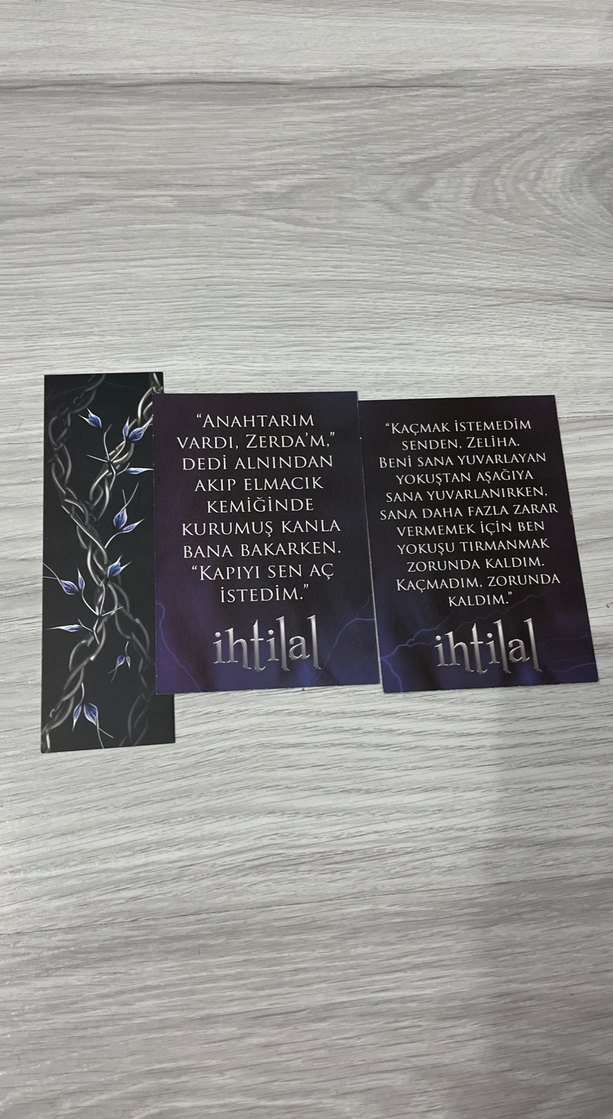 İhtilal - Binnur Şafak Niğiz - Görsel 3