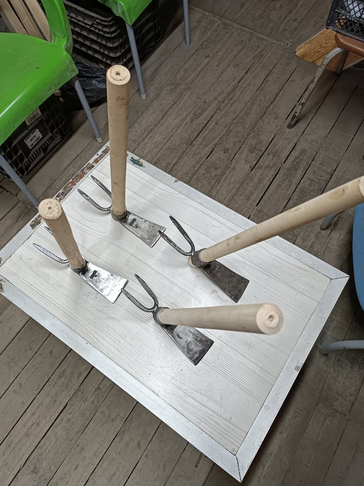 ÇİFT TARAFLI FİDE KAZMASI - Görsel 3