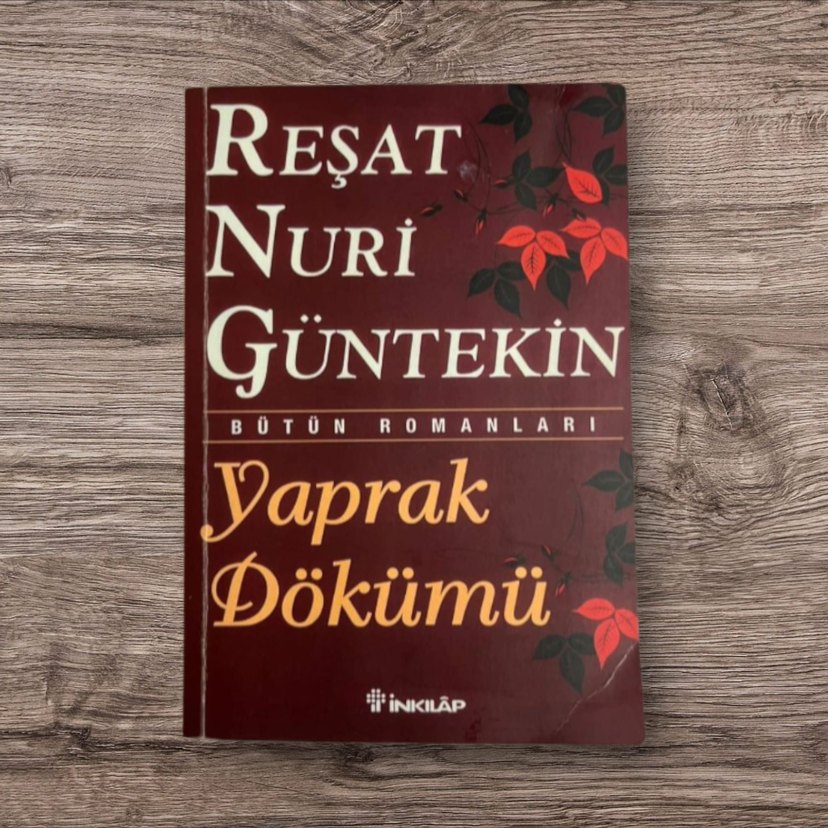 Yaprak Dökümü - Reşat Nuri Güntekin - Görsel 2
