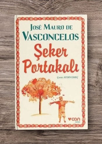 Şeker Portakalı - José Mauro de Vasconcelos - Görsel 3