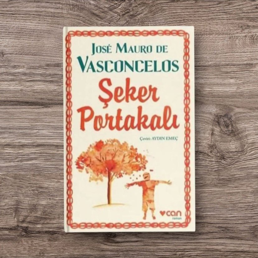 Şeker Portakalı - José Mauro de Vasconcelos - Görsel 4