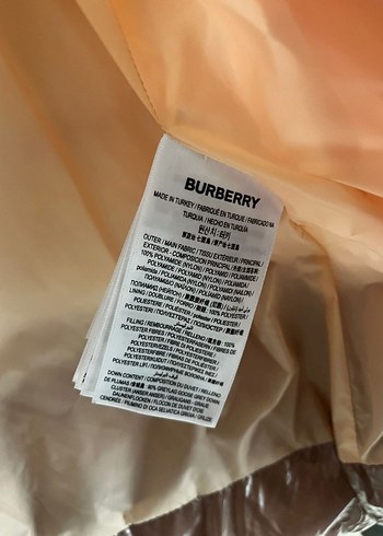 Düğmeli Pembe Pastel Kadın Kışlık Mont - Görsel 3