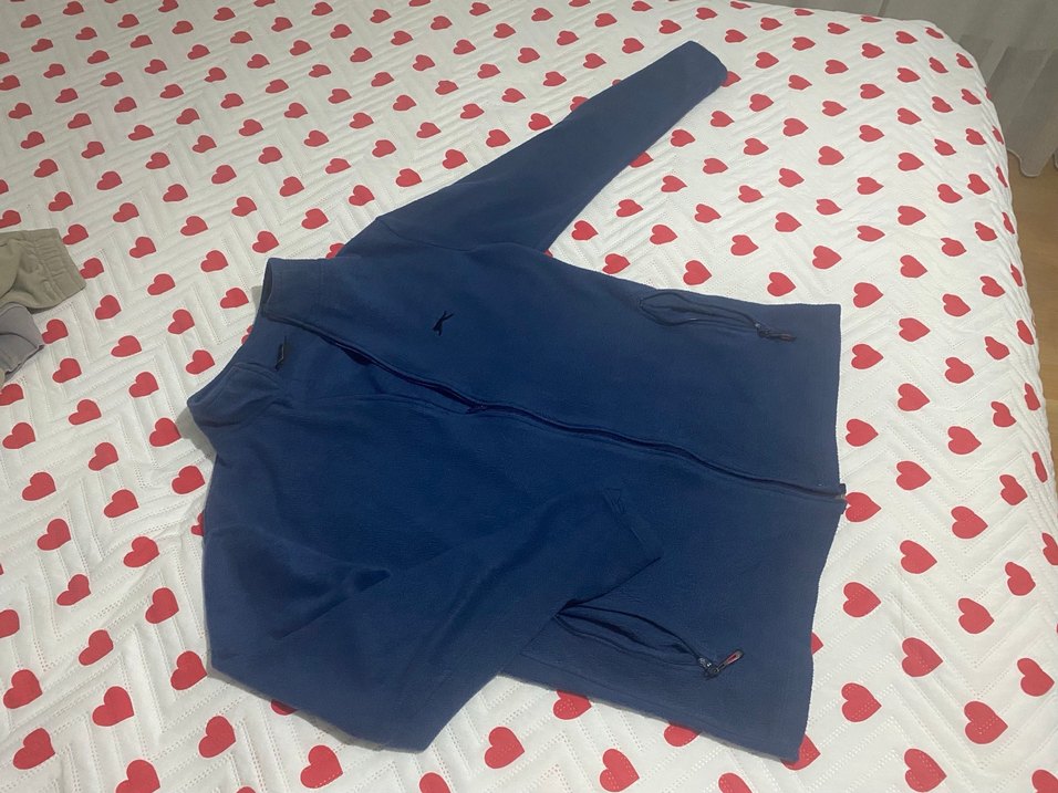 Erkek Mavi Fermuarlı Uzun Kollu Polar - Görsel 2