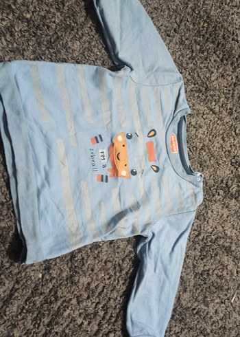 Erkek Çocuk Gri Uzun Kollu Zebra Baskılı Sweatshirt - Görsel 4