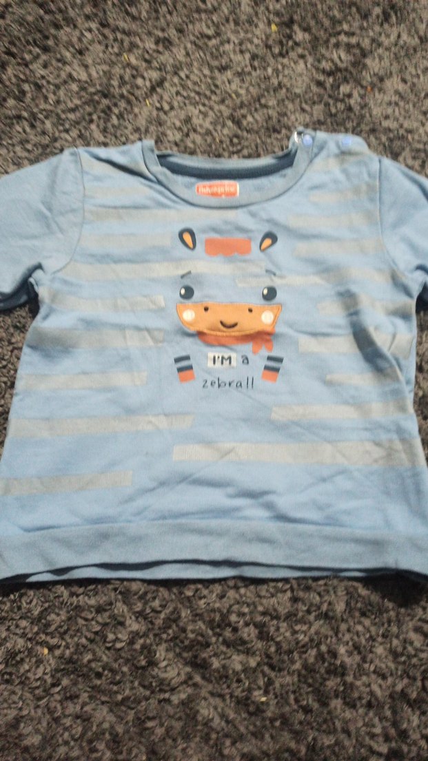 Erkek Çocuk Gri Uzun Kollu Zebra Baskılı Sweatshirt - Görsel 2