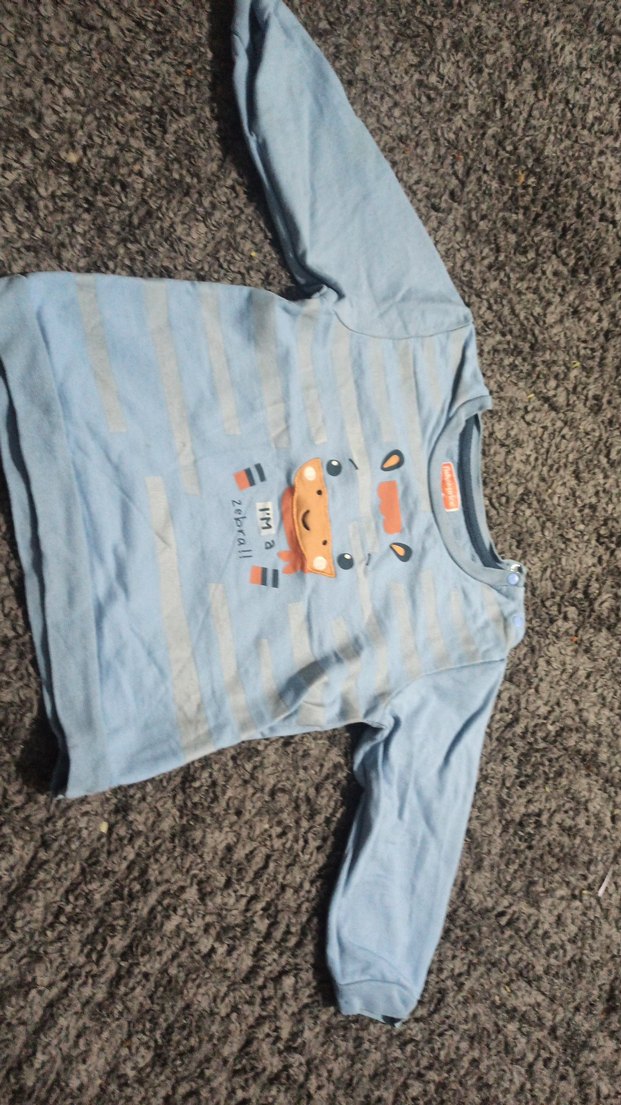 Erkek Çocuk Gri Uzun Kollu Zebra Baskılı Sweatshirt - Görsel 4