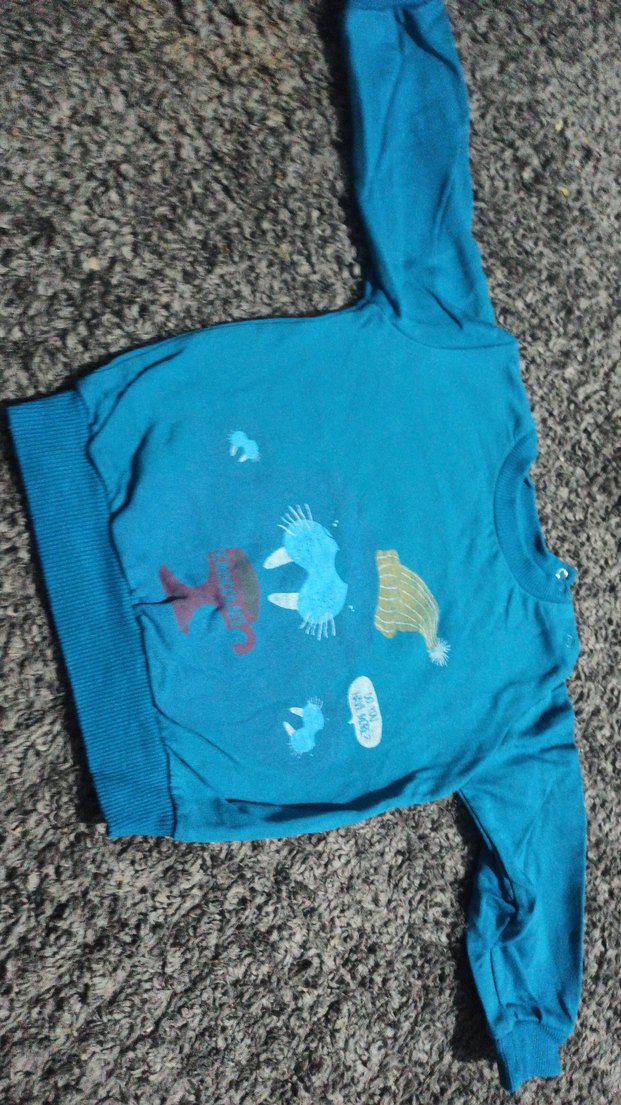 Mavi Baskılı Erkek Çocuk Sweatshirt - Görsel 2