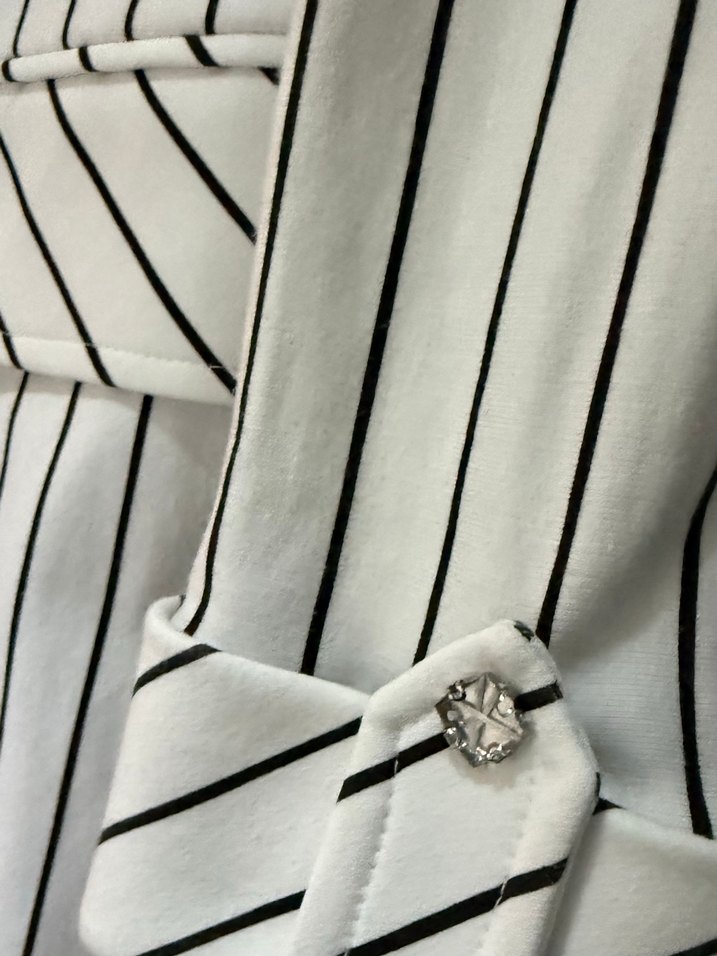 Çizgili Şık Ceket / Blazer  Günlük & Ofis Kullanıma Uygun - Görsel 4