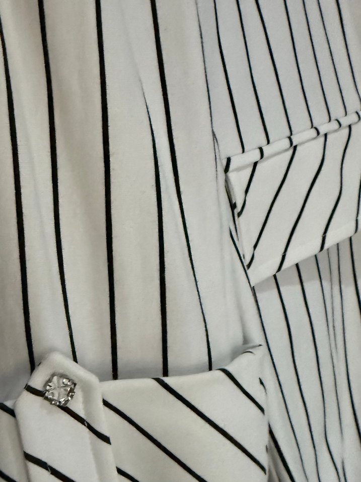 Çizgili Şık Ceket / Blazer  Günlük & Ofis Kullanıma Uygun - Görsel 3