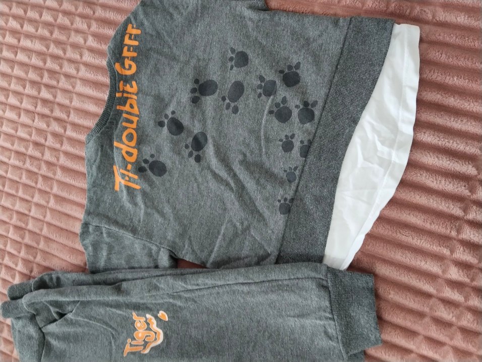 bebek Çocuk Gri Kapüşonsuz Sweatshirt ve Eşofman Takımı - Görsel 3