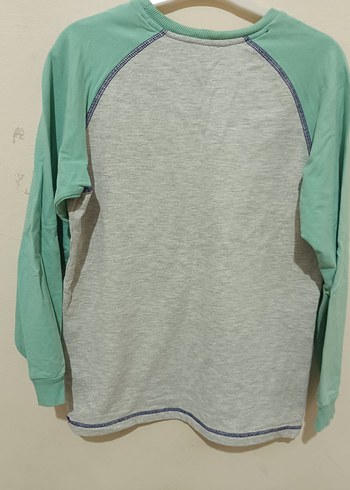 USPA Baskılı Gri Mint Sweatshirt - Görsel 2