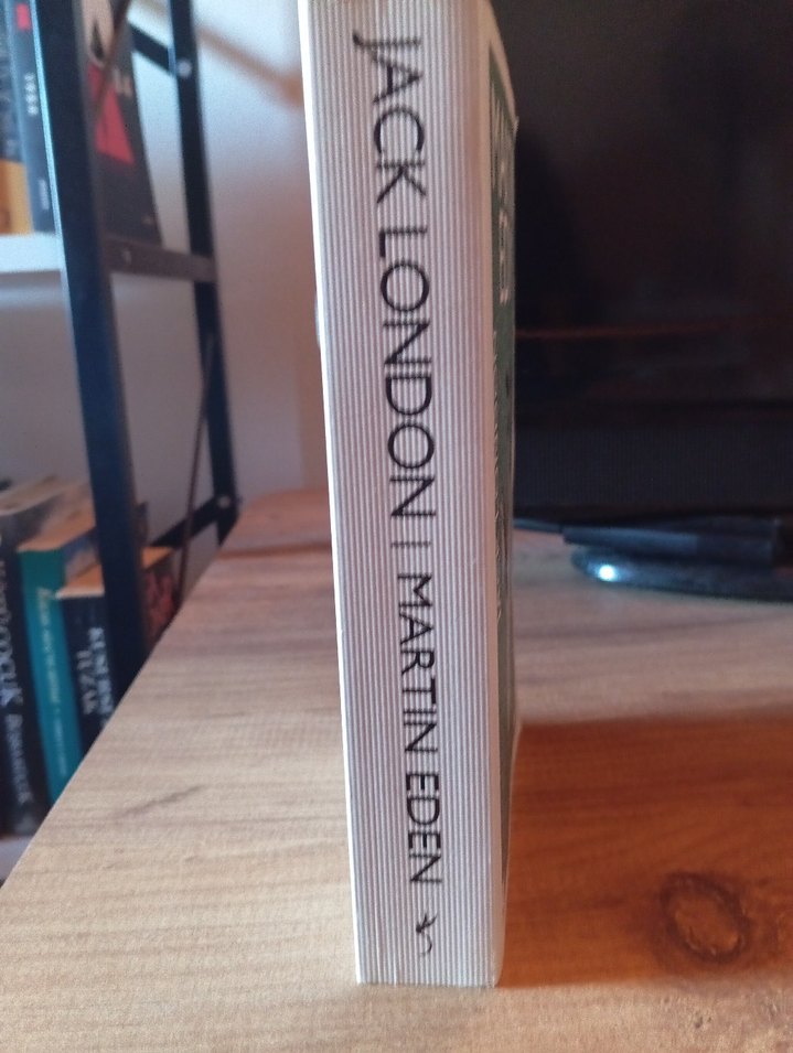 Martin Eden Romanı - Jack London - Görsel 2