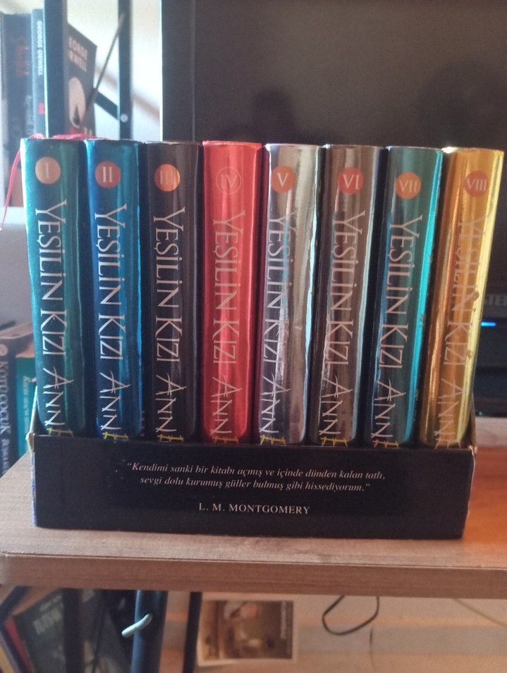 Ciltli Yeşilin Kızı Anne Serisi Roman Seti - Görsel 2